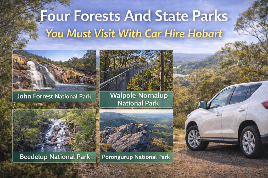 Four Forests And State Parks You Must Visit With Car Hire Hobart